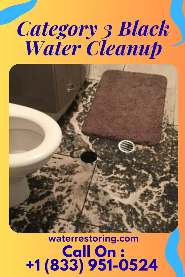 Category 3 Black Water Cleanup in South Sarasota, FL